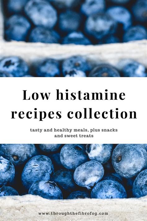 Low Histamine Recipes Collection Tasty And Healthy Meals Plus Snacks