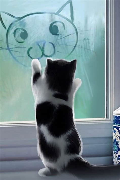 Cute Cat Iphone Wallpaper Hd