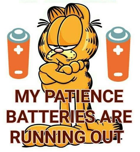 Pin By Mikeypv On Garfield The Cat Quotes In 2020 Garfield Quotes