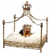 Luxury Beds For Dogs Photos