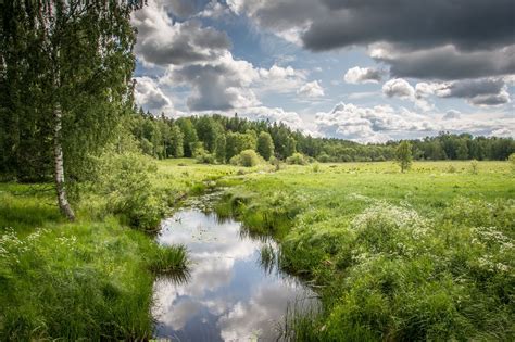 Swedish Countryside Summer Moonlight Photography Countryside Landscape