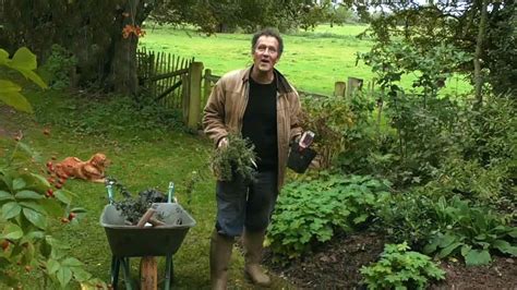 How To Make A Wildlife Pond Gardeners World Garden And Modern House