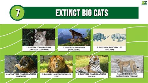 7 Extinct Big Cats A Z Animals