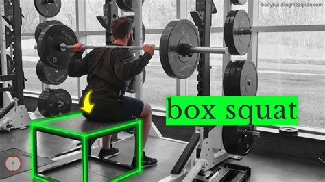7 Benefits Of Box Squats And How To Box Squat Effectively Nutritioneering