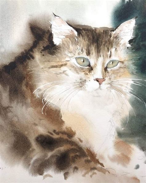 Konstantin Sterkhov Watercolor Paintings Nature Watercolor Cat