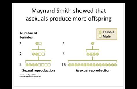 The Evolution Of Sex Flashcards Quizlet