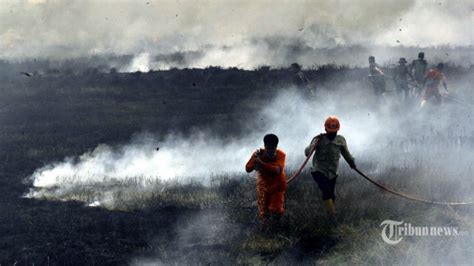 Polri Tetapkan Tersangka Pembakar Lahan Di Sumatera Dan Kalimantan
