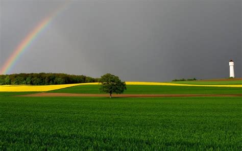 Awesome Rainbow Scene Hd Nature Wallpapers Field Wallpaper