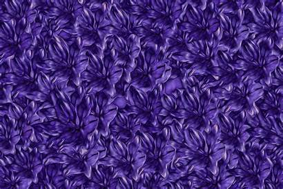 Flowers Domain Floral Lavender Pattern Needpix
