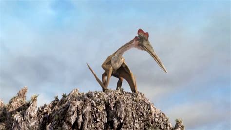 El Pensieve De Dinorider Flying Monsters 3d Monstruos Voladores 3d