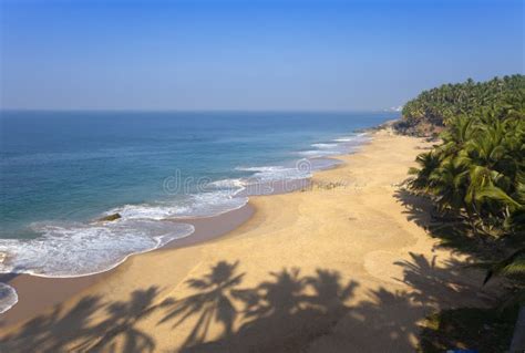 A Vista Superior Em Um Sandy Beach Do Mar E De Uma Palmeira India