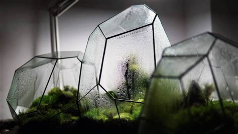 Terraliving Terrarium Brings Nature To Our Spaces Designwanted