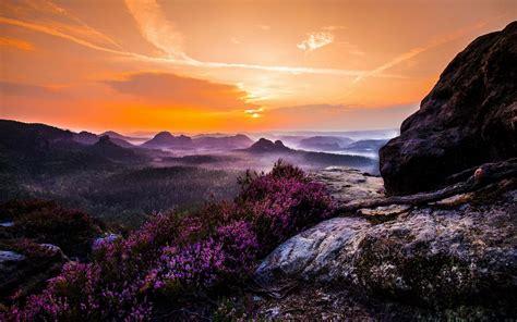 Landscape Nature Mist Sunset Wildflowers Valley Forest Mountain