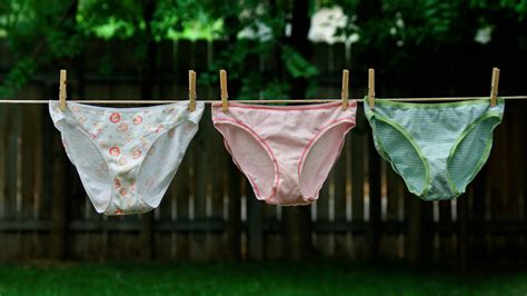 10 Best Cotton Underwear For Women 2023 Undywear