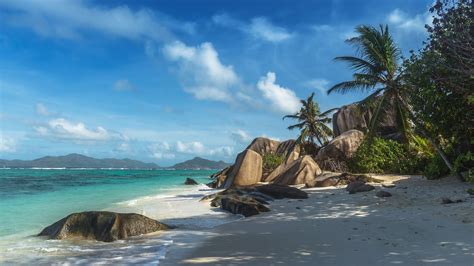 Photography Nature Landscape Beach Sand Palm Trees Rocks Tropical Island Sea Morning Shadow