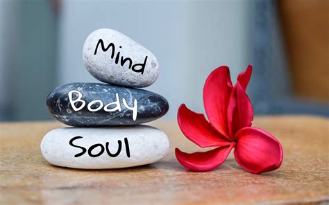 Mind Body Heart And Soul Balance And Bonus