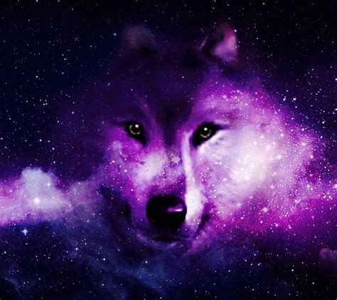 Pin By Wolf Girl 🐺 On Fractal Art Wolf Wallpaper Wolf Art Wolf