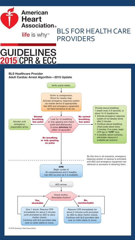 Aha 2015 Algorithms For Bls Acls Pals