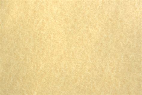 Light Colored Parchment Paper Texture Picture Free Photograph