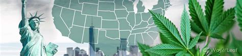 All 50 States Could Legalize Weed In 2021 Heres Why