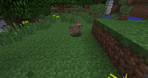 Rabbit Official Minecraft Wiki