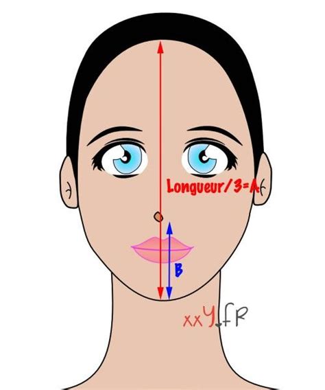 Cette forme de visage est la forme rêvée puisqu'elle est parfaitement équilibrée, en longueur comme en largeur. Déterminer la morphologie de son visage | Visage, Visage ...