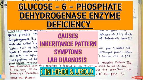 Glucose 6 Phosphate Dehydrogenase Deficiency Anemiag6pdcausesinheritance Patternhemolytic