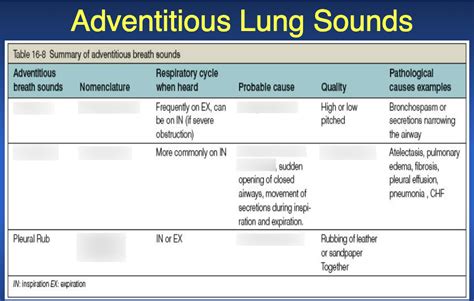 Adventitious Lung Sounds Diagram Quizlet