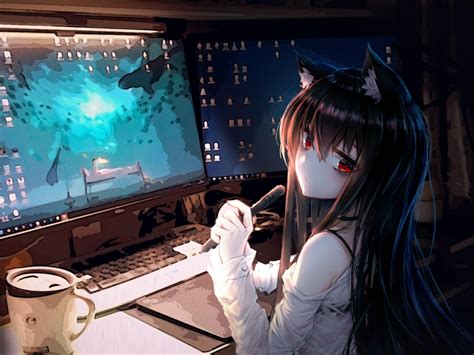Cat Girl Anime Desktop Wallpapers Top Free Cat Girl Anime Desktop Backgrounds Wallpaperaccess