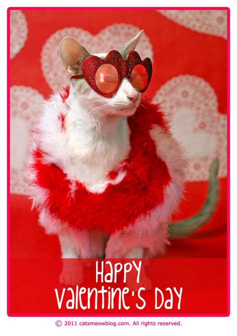 Happy Valentines Day From The Cats Meow Catster Cats Pinterest