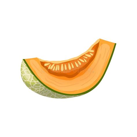 Melon Cantaloupe Slice Cartoon Vector Illustration Stock Illustration