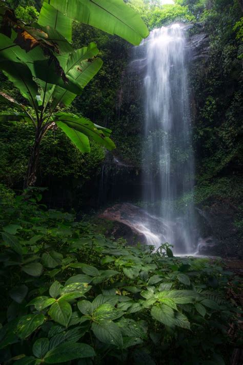 Great Waterfall In The Rain Forest Beautiful Nature Scenes Nature
