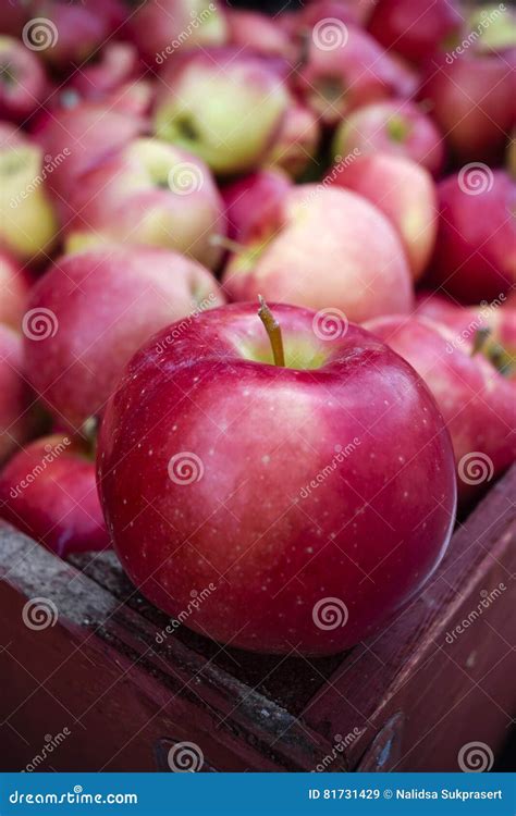 Organic Gala Apples Stock Image Image Of Nature Farmers 81731429