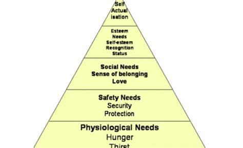 Piramidă A Nevoilor A Lui Maslow Romoflorin
