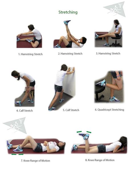 Physical Therapy Exercises Knee Injury David Simchi Levi