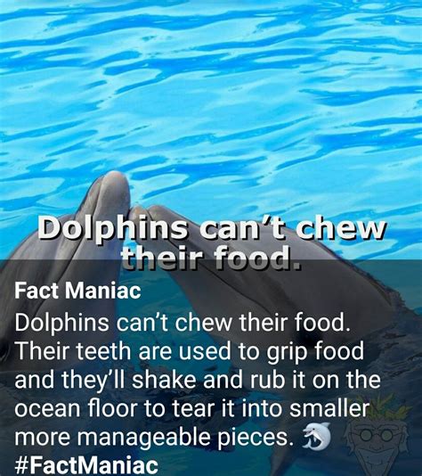 Pin By Anna Mcfadden On Cool Facts Fun Facts Facts Ocean