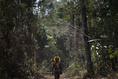 brazil worker who protected indigenous tribes killed in amazon