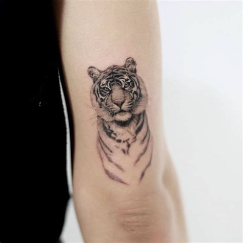 15 Small Tiger Tattoo Designs And Ideas Petpress Tatuaje De Tigre