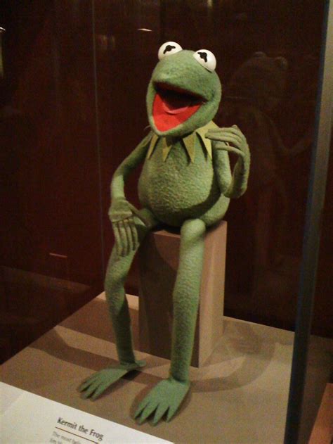 144 Best Kermit The Frog Images On Pinterest Frogs