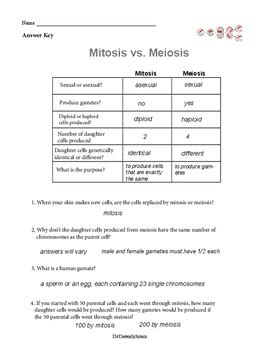 Meiosis matching worksheet answer key. Mitosis vs. Meiosis by Dr Dave's Science | Teachers Pay Teachers