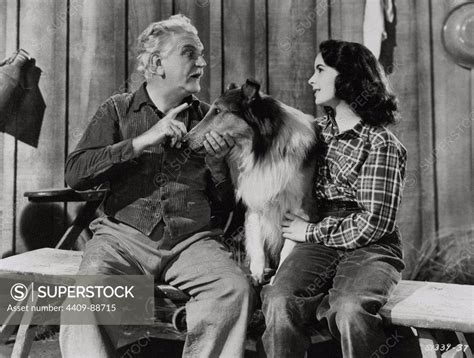 Elizabeth Taylor And Frank Morgan In Courage Of Lassie 1946 Directed