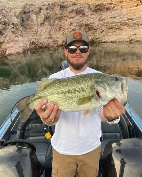 Lake Mead Boulder City Nv Fish Reports And Map