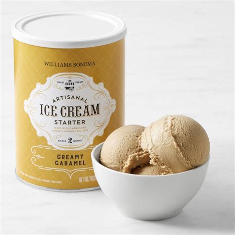 Williams Sonoma Ice Cream Starter Creamy Caramel Homemade Ice Cream