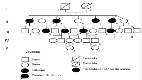 Arbol Genealogico Genetica