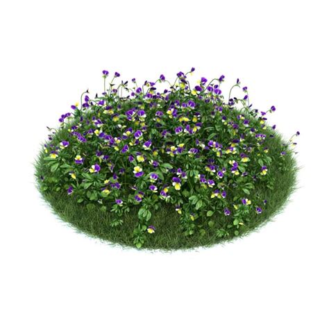 Garden Plants And Flowers 3d Model Cgtrader