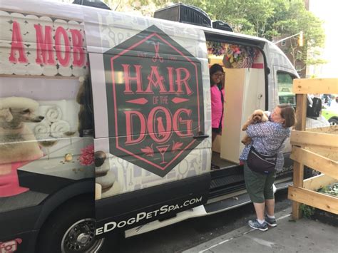 Top Rated Pet Grooming Services With Transport In Sg 2018 Edition