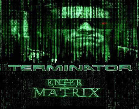 Terminator Enter The Matrix Terminator Fanon Wiki Fandom