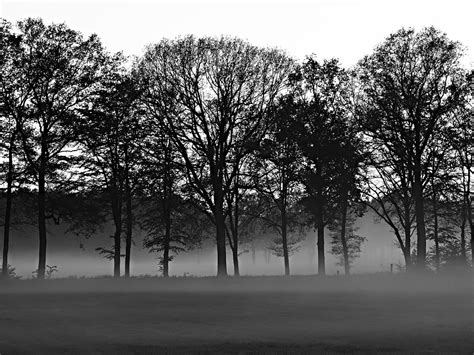 Misty Morning Seriouspix Flickr