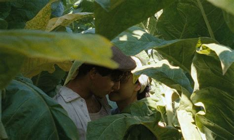 ‘Lazzaro felice’ y los colmillos del cordero – Butaca Ancha | Cine