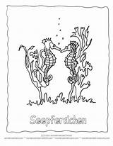 Seaweed Seahorse Coloringhome Quotesgram Seahorses Designlooter источник sketch template